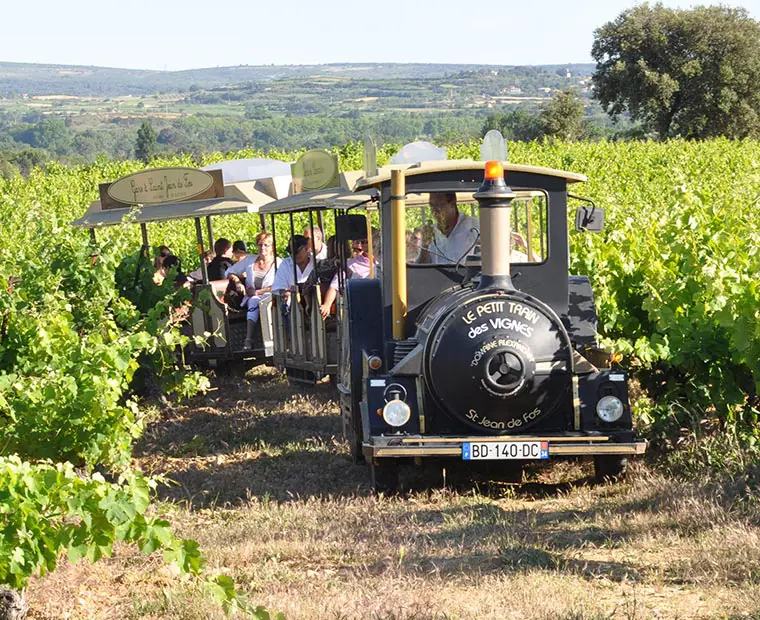 Clamouse activites petit train