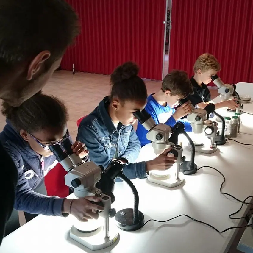 Clamouse cta scolaires mobile